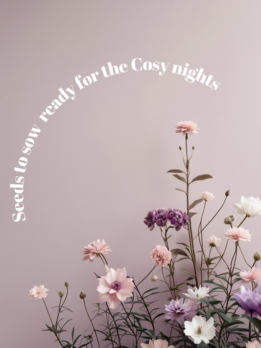 Easy Blooms for Autumn/ Winter